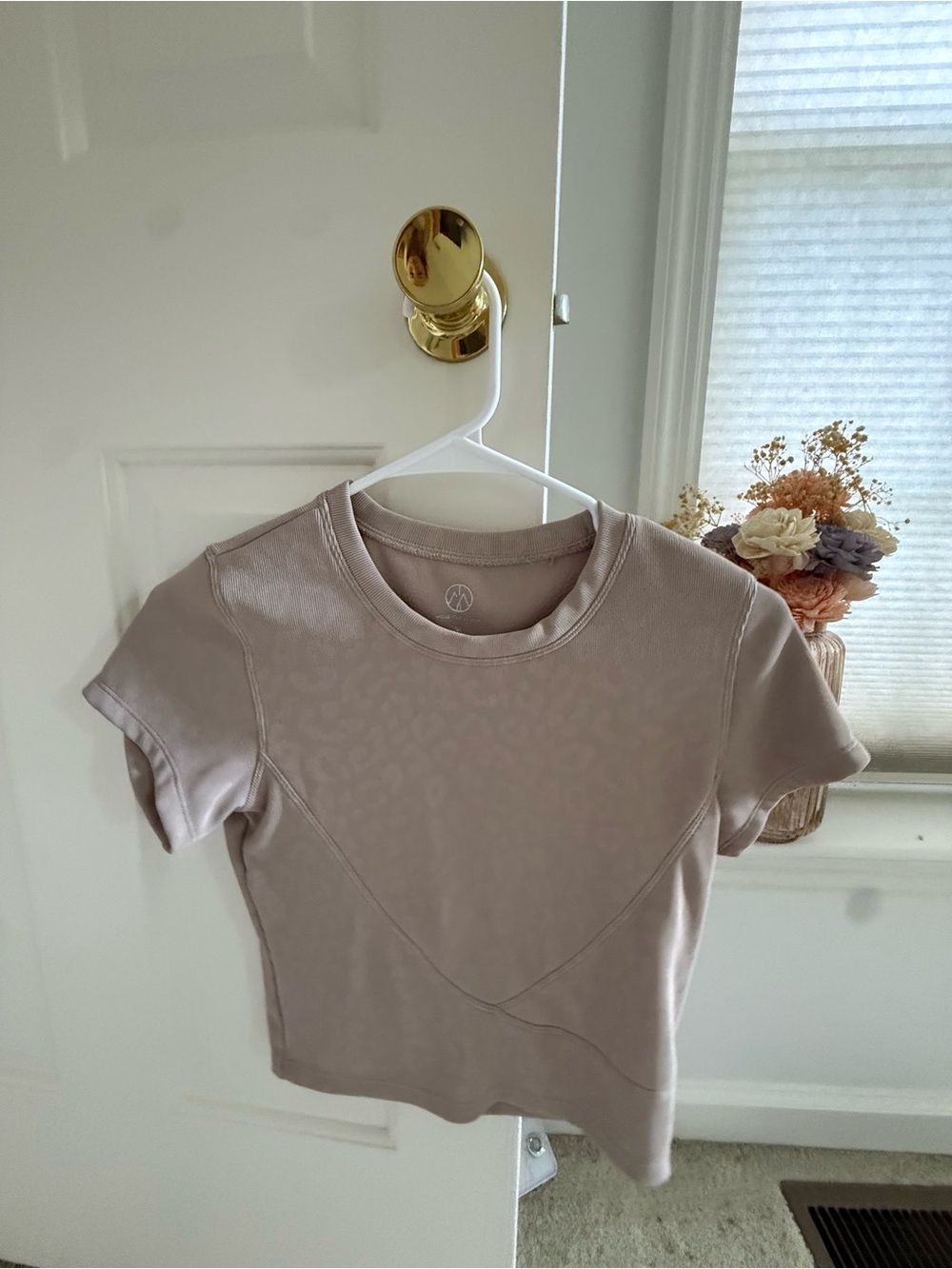 Women’s Short Sleeve Crewneck Top in Dusty Taupe